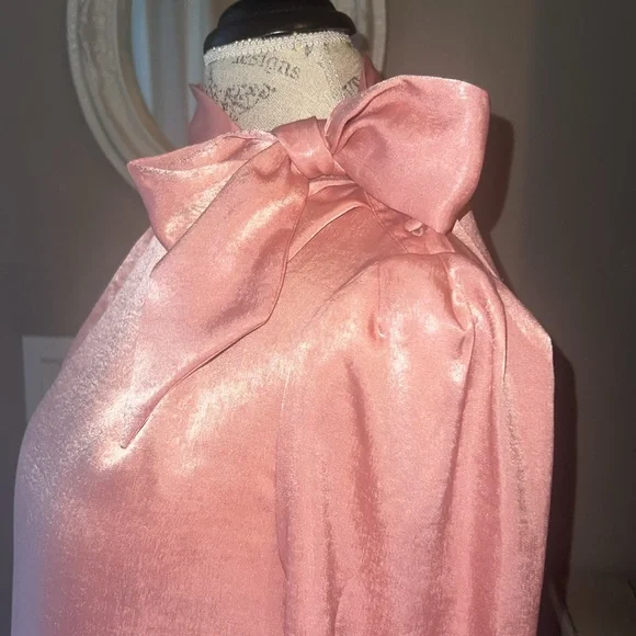 Worthington Petite XS pink women’s blouse with ribbon 🎀 tie bow button shirt XS - Picture 2 of 13